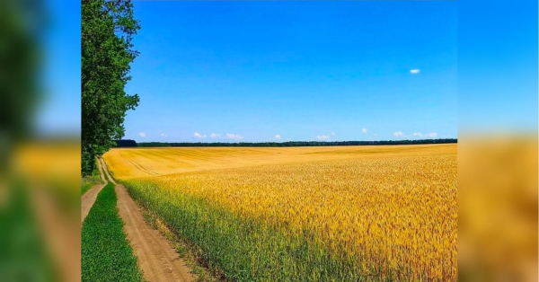 30 млн рублів податків на армію агресора: ЗМІ про колишнього чиновника з Житомирщині, який&hellip;