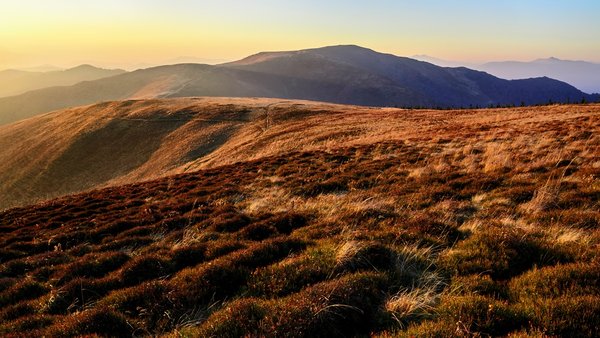 2 тисячі гривень за сотку: АРМА продало Льовочкіну 460 гектарів землі на&hellip;