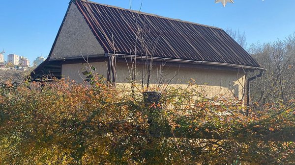 Збудувала будинок в Національному парку “Голосіївський”: киянка отримала підозру