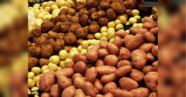 В Україні дорожчає «другий хліб»: на ринку картоплі помітили неприємну тенденцію