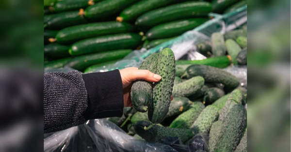 На 10% за тиждень: в Україні зріс у ціні «літній» овоч