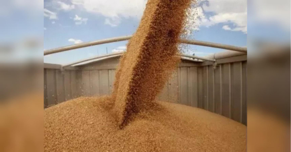 Афера на мільйони: що пишуть ЗМІ про шахрайську схему обкрадання аграріїв