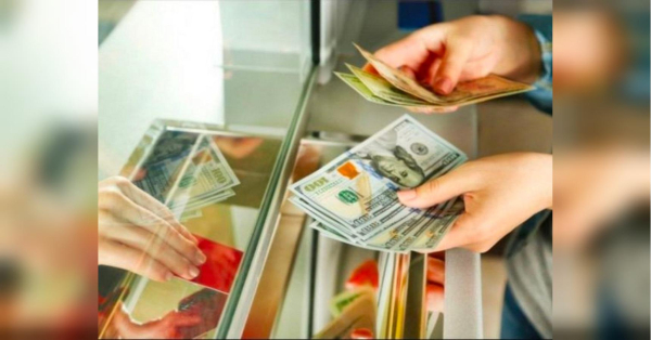 Готівкова валюта набирає популярності серед українців: як купити долари за вигідним курсом