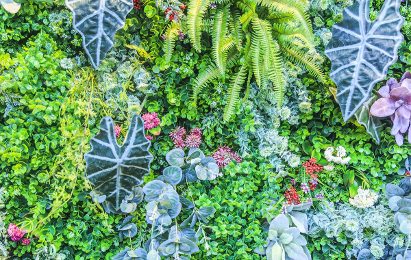 Такі стіни підходять для просторих інтер'єрів: житлових кімнат, офісів, ресторанів, торгових та бізнес-центрів.