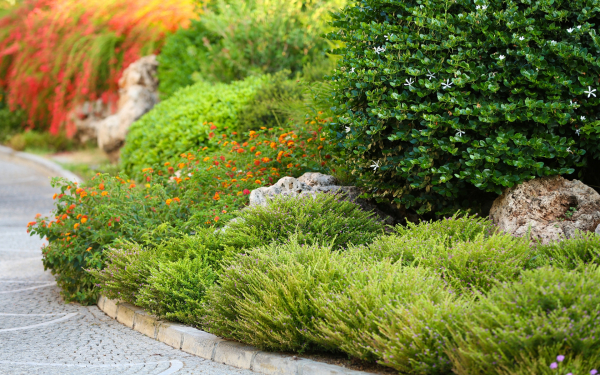 Фото:shutterstock