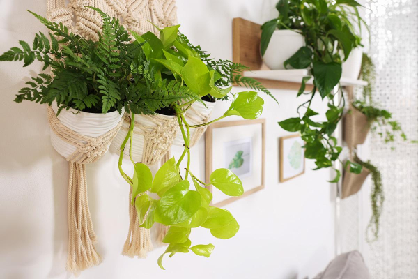 Фото: New Africa / Shutterstock / FOTODOM