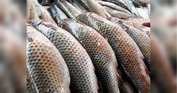 Скоро подорожчає популярний в українців продукт харчування: про що йдеться і наскільки дорожче доведеться заплатити