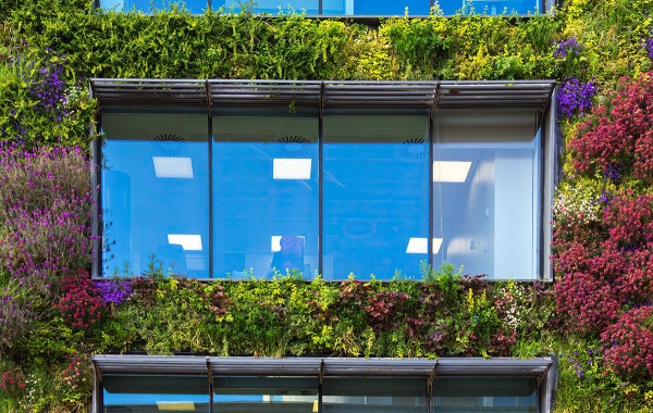 Приклад вертикального саду із різноманітних рослин, розташованого на стіні сучасного будинку