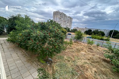 “У місті немає парків”: жителі Теплодара на Одещині вимагають зберегти сквер від&hellip;