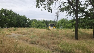 У Миколаєві хочуть збудувати АЗС замість парку: під загрозою вирубки майже 200 дерев