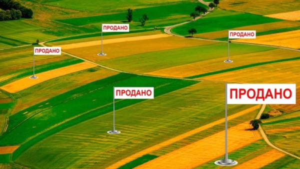Нерухомість в Україні: актуальність купівлі землі для інвестування (відео)