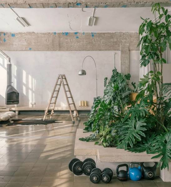 Гібридна зона на місці старого складу. Atienza Maure Architects (Іспанія) | Д.Журнал