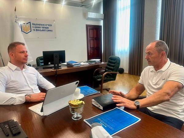Семенюк та Тігіпко обговорили залучення приватних інвестицій