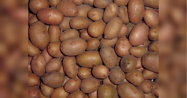 Улюблений українцями продукт подешевшав на 15% за тиждень, щоправда, є й мінус