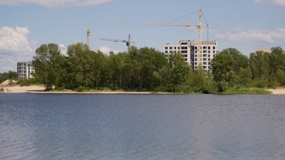 Заплавний ліс може зникнути: як забудова прибережно-захисної смуги Черкащини загрожує птахам, комахам і рослинам