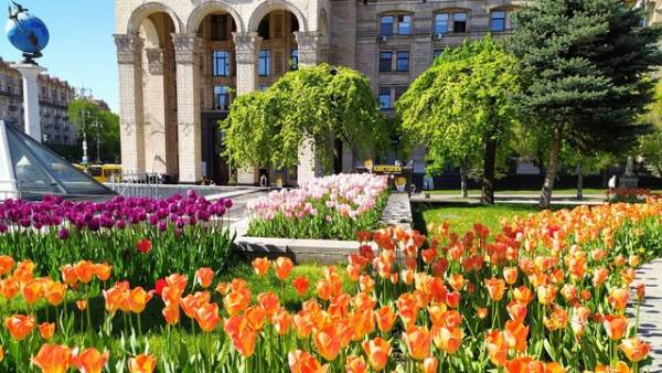 Київ лідирує за обсягом сплаченого екологічного податку, показник за 7 місяців 2026 року зріс на 0,6% – ДПС