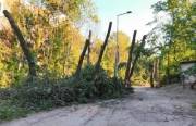 Лише один проєкт будівництва тепломережі на Теремках схвалено.