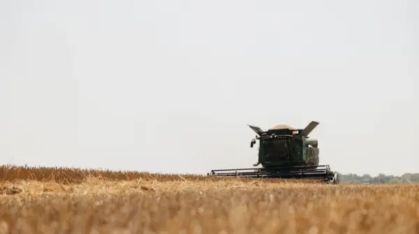 Світ може бути охоплений сплеском зростання цін на продукти харчування – ФАО