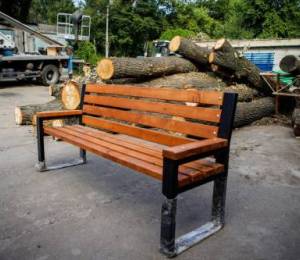 «Київзеленбуд» використає спиляні дерева з Теремків для потреб озеленення та благоустрою