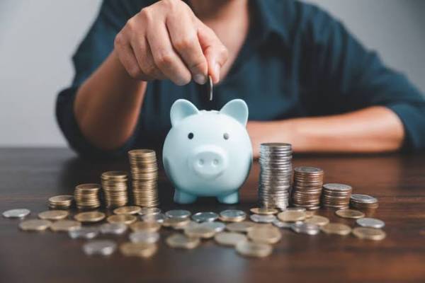 Як інвестувати $100 на місяць і отримати прибуток