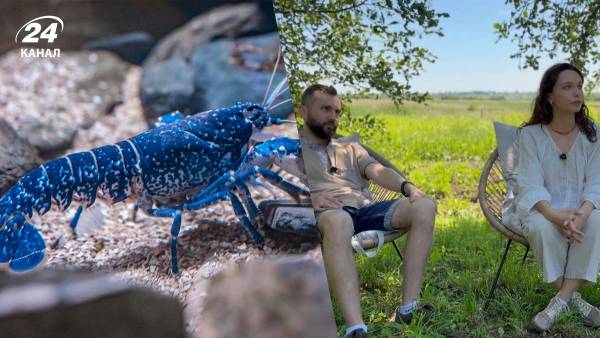 Подружжя з Львівщини перетворило стару хату на унікальну ферму