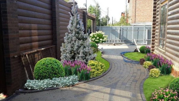 Дизайн двору з бруківкою і квітниками - фото 37