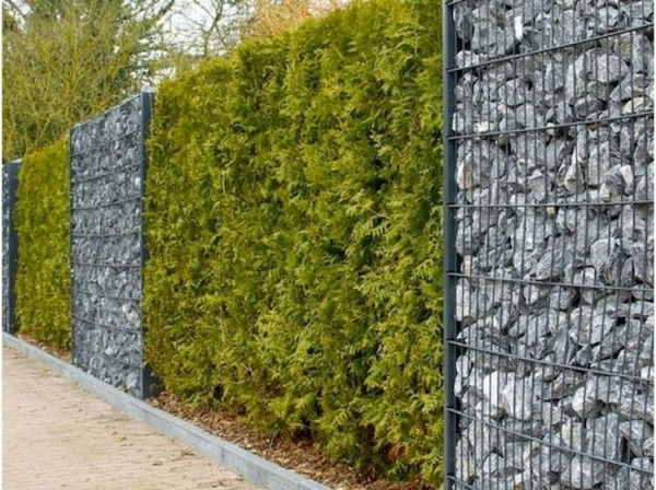 Сучасний зелений паркан - дизайн з габіонів